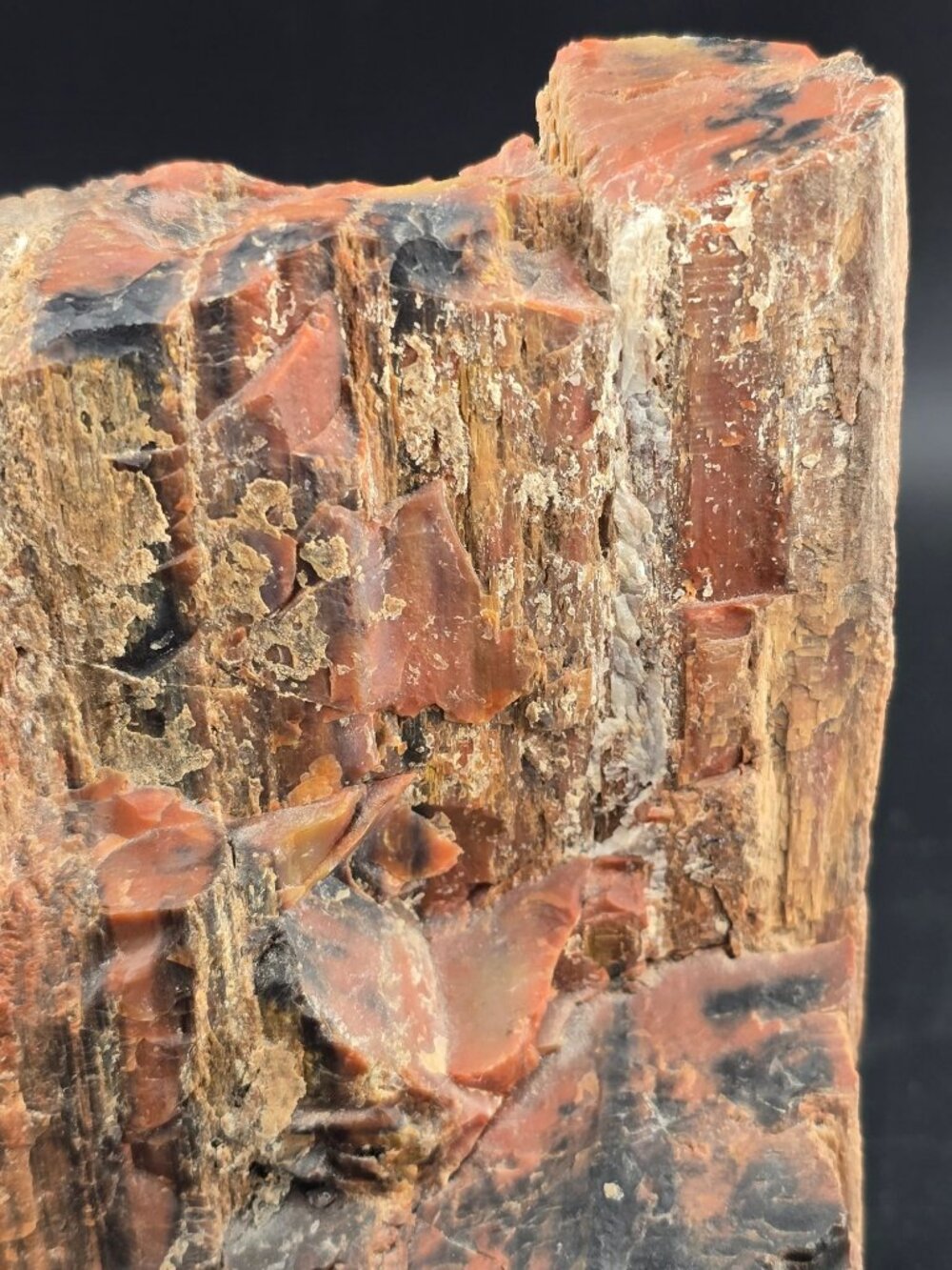 Petrified Wood Fossil Specimen With Rich Red & Black Hues, Polished/Raw -2.1 lbs - Picture 7 of 16